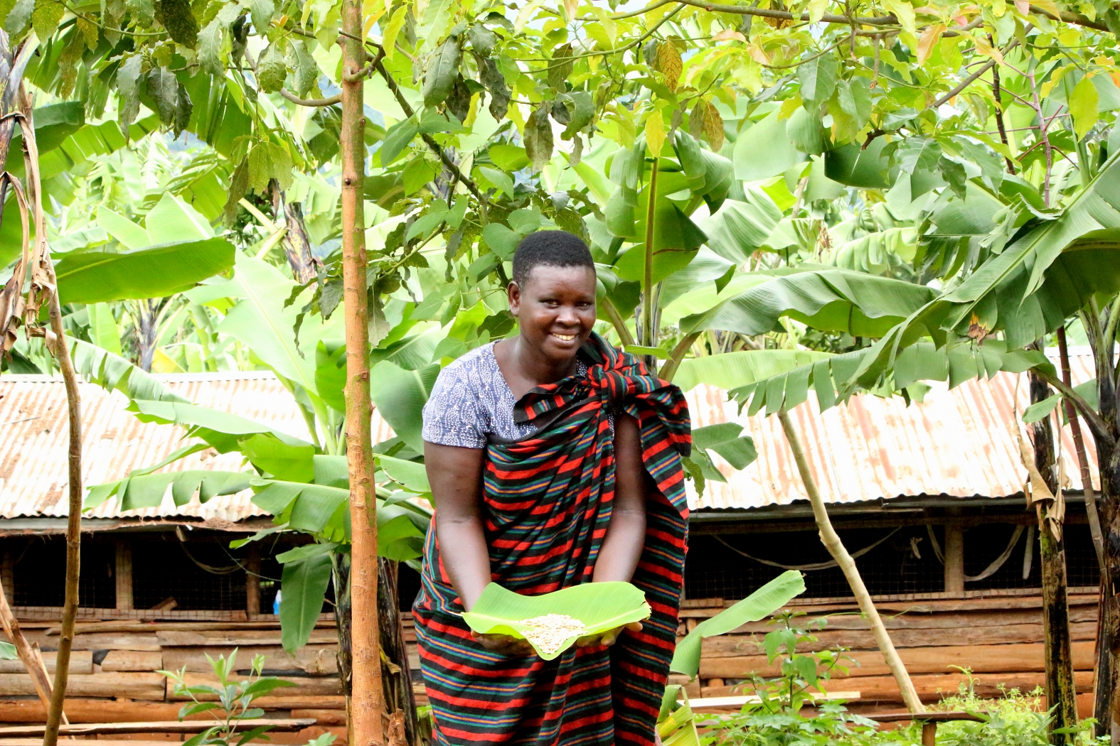 Coffee Tour & Experience – From Bean to Cup in Sipi
