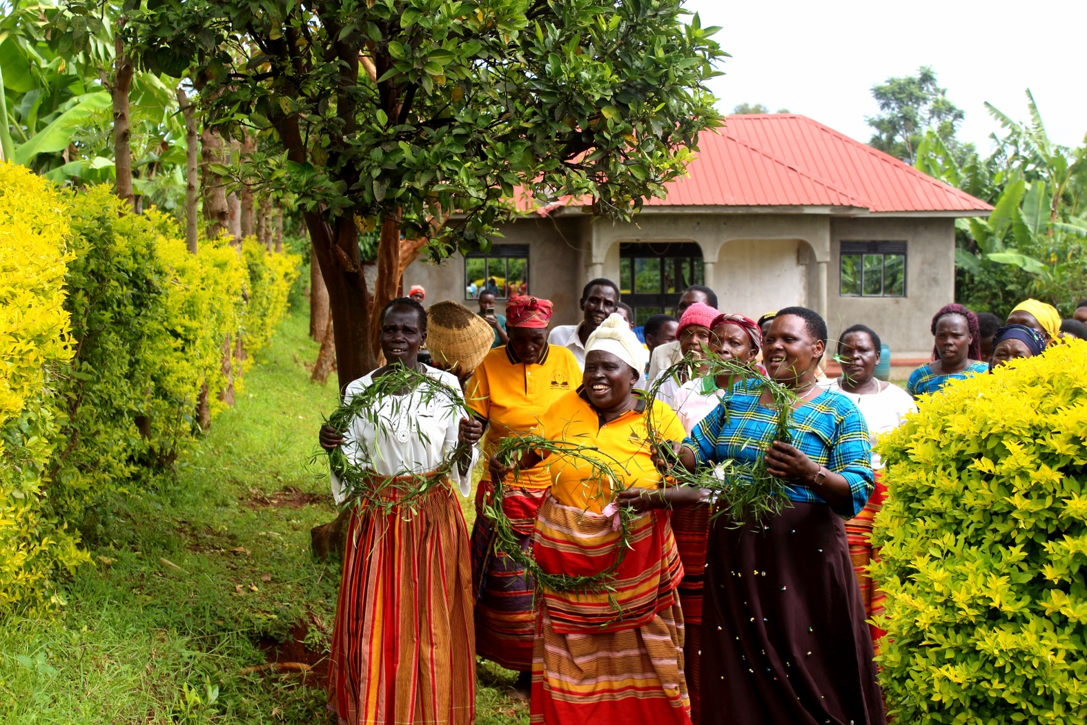Widowed Women’s Cultural Dance Experience – Stories of Strength, Rhythm &
Community
